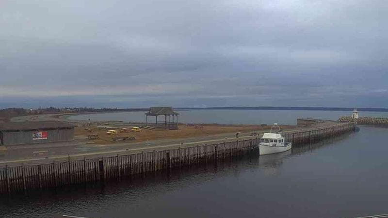 Belliveau Cove Harbour