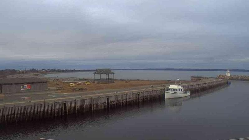 Belliveau Cove Harbour