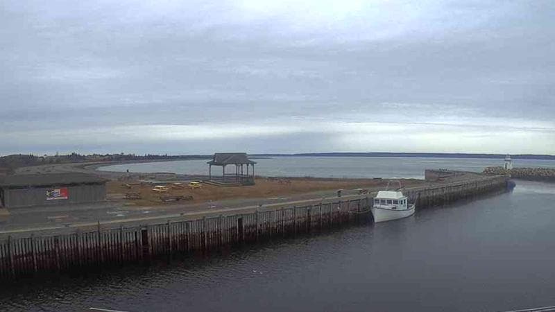 Belliveau Cove Harbour