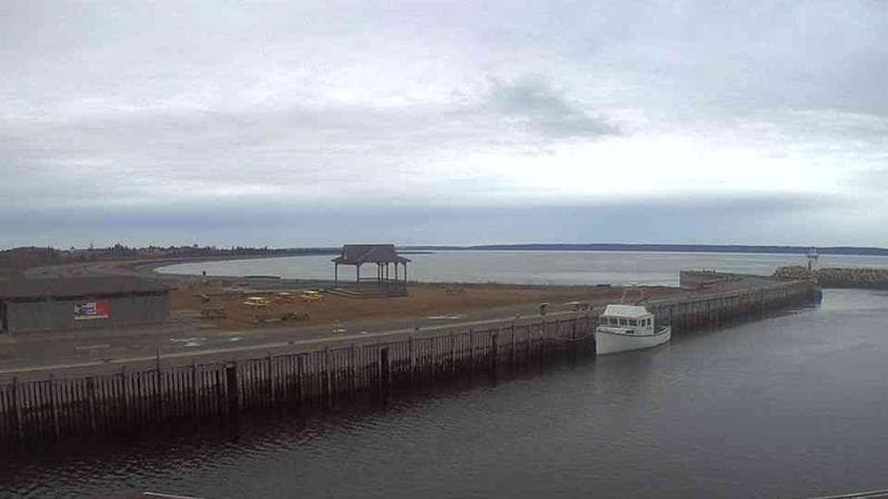 Belliveau Cove Harbour