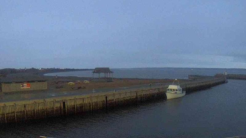 Belliveau Cove Harbour