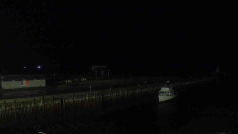 Belliveau Cove Harbour