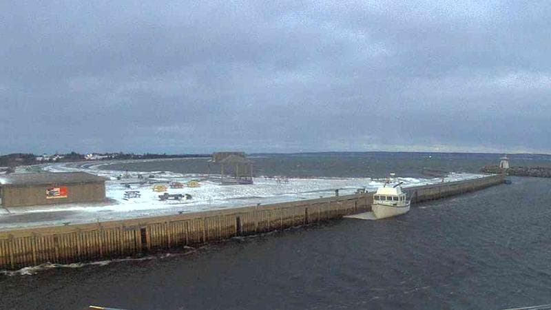 Belliveau Cove Harbour