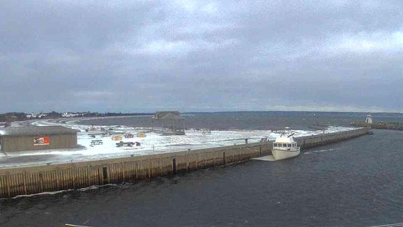 Belliveau Cove Harbour