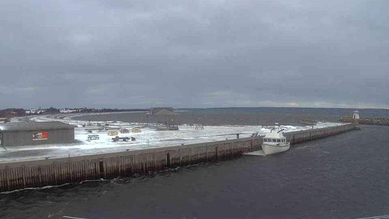 Belliveau Cove Harbour