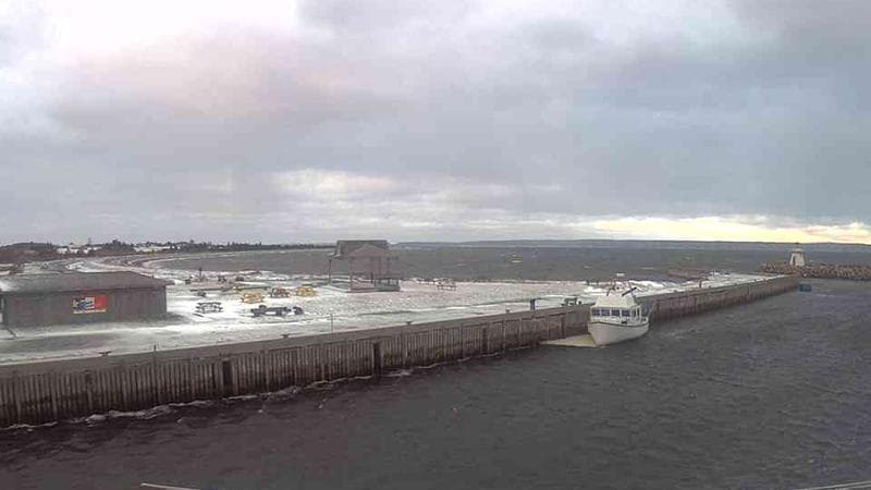 Belliveau Cove Harbour