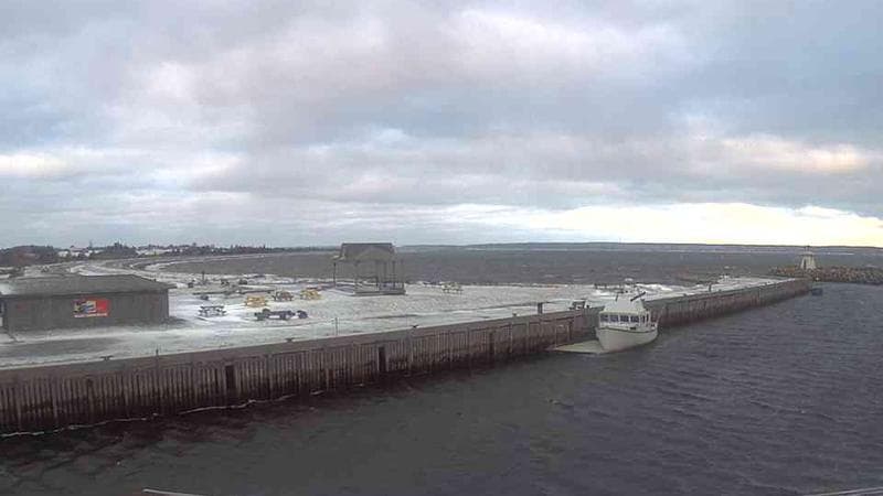 Belliveau Cove Harbour