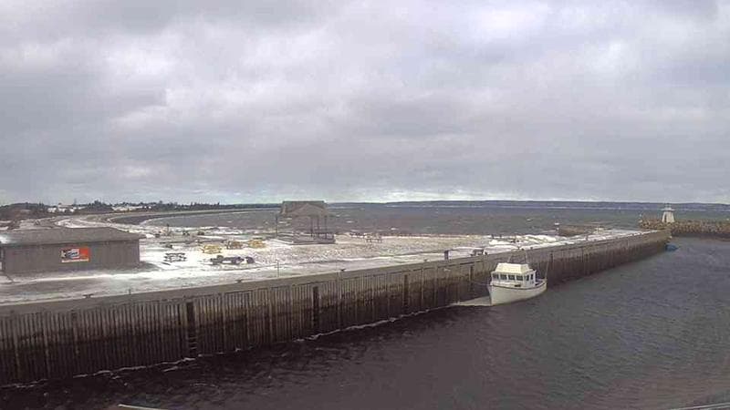 Belliveau Cove Harbour