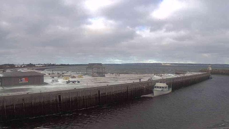 Belliveau Cove Harbour