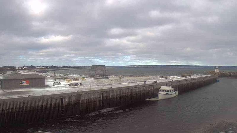 Belliveau Cove Harbour