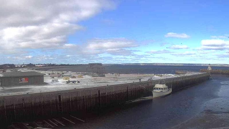 Belliveau Cove Harbour