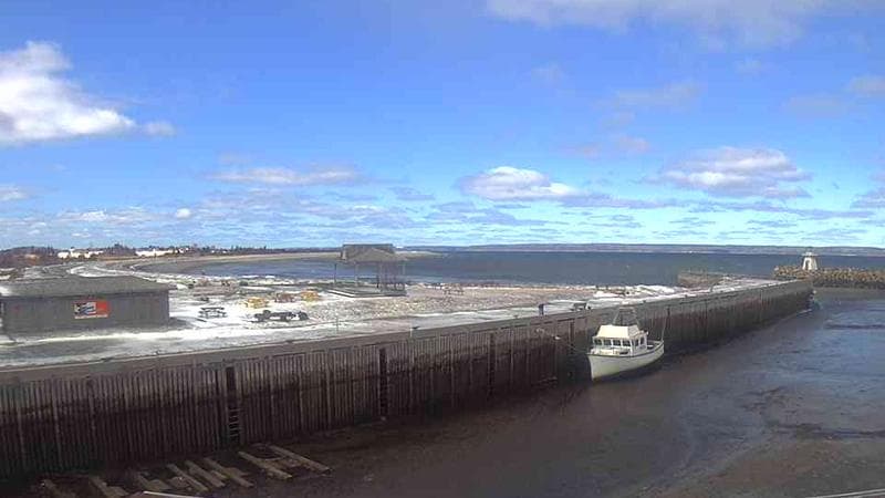 Belliveau Cove Harbour