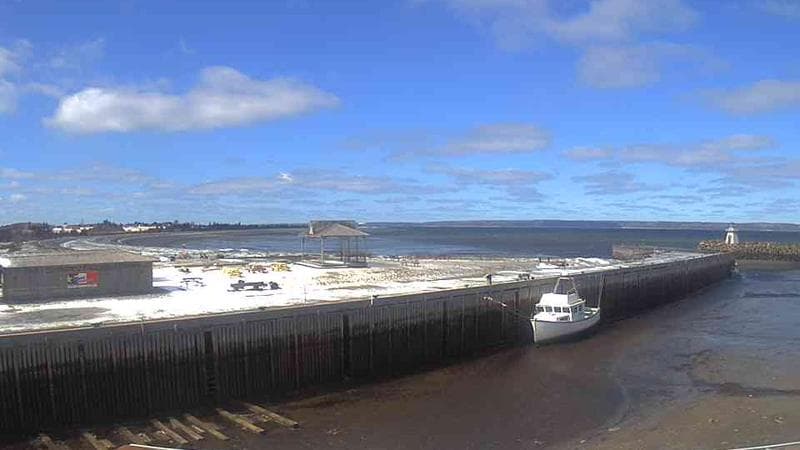 Belliveau Cove Harbour
