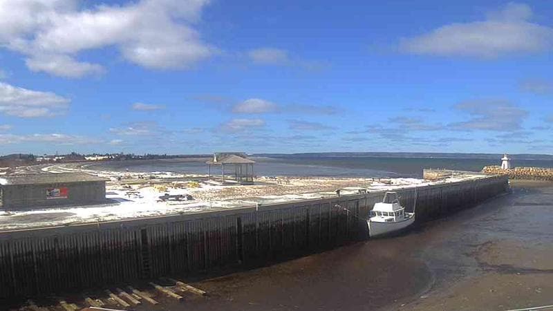 Belliveau Cove Harbour