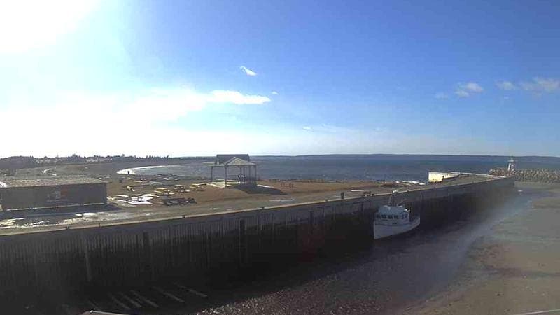 Belliveau Cove Harbour