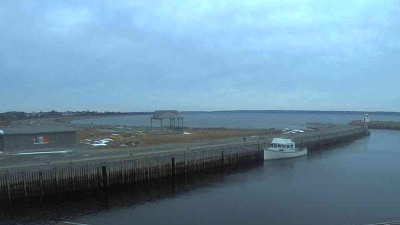 Belliveau Cove Harbour