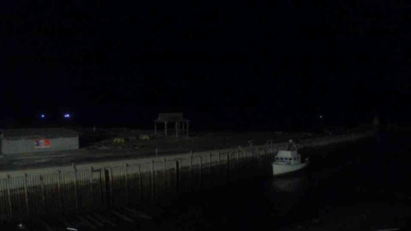 Belliveau Cove Harbour