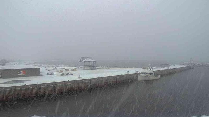 Belliveau Cove Harbour