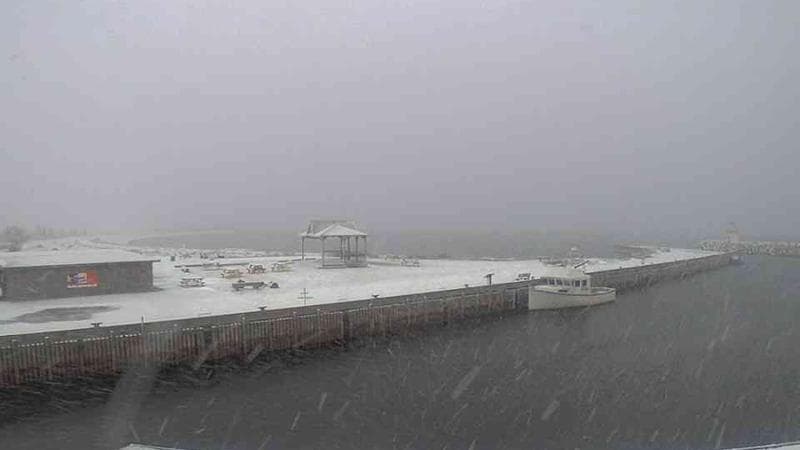 Belliveau Cove Harbour