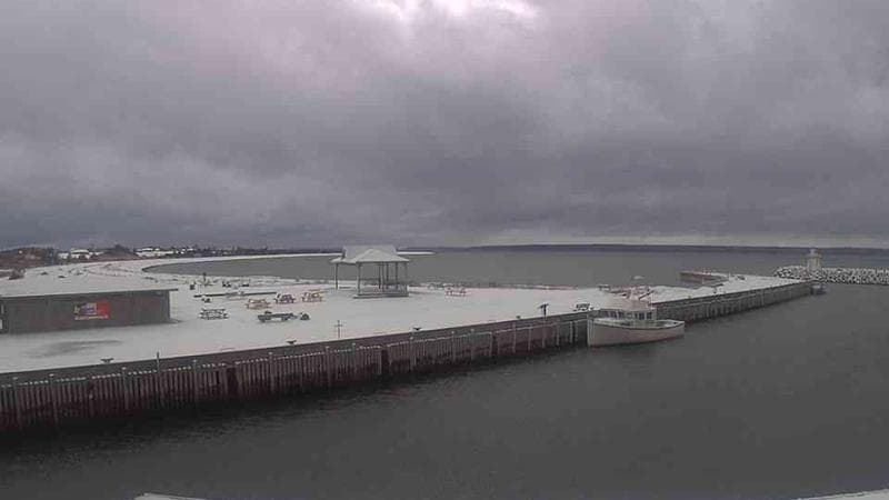 Belliveau Cove Harbour