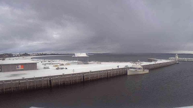 Belliveau Cove Harbour