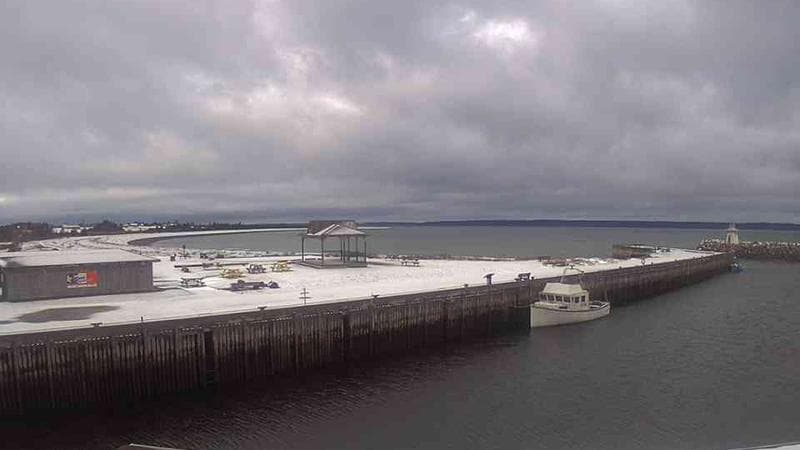 Belliveau Cove Harbour