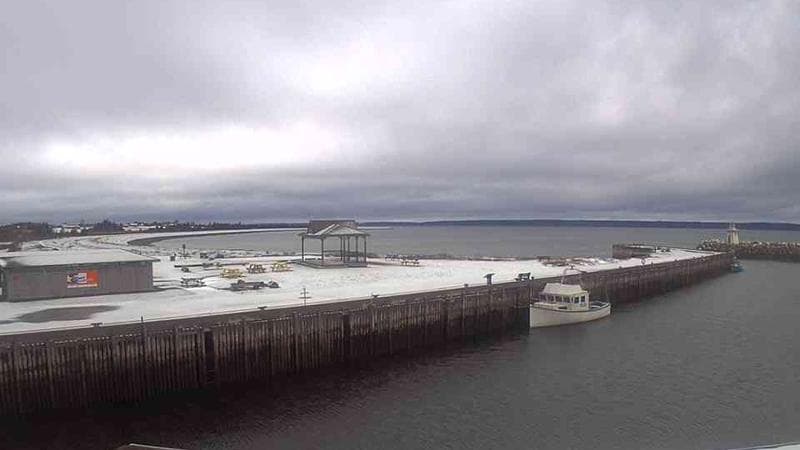 Belliveau Cove Harbour