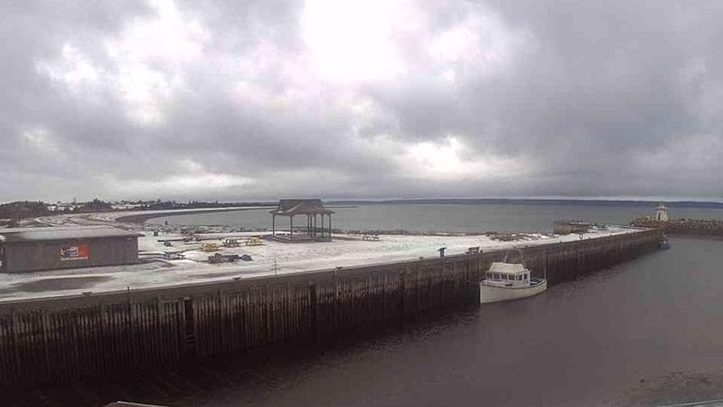 Belliveau Cove Harbour