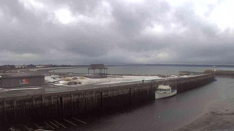 Belliveau Cove Harbour