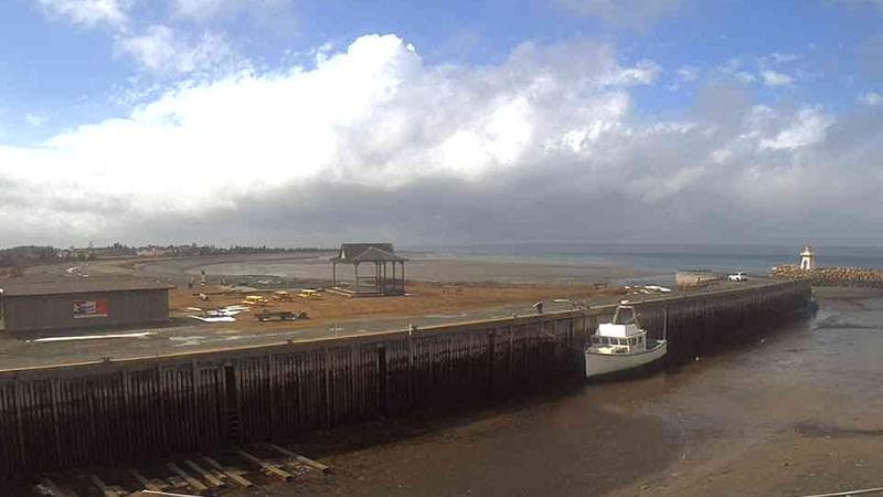 Belliveau Cove Harbour
