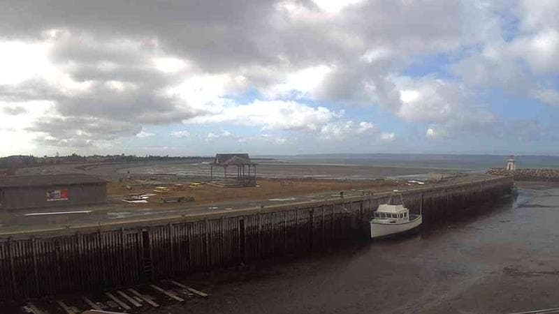Belliveau Cove Harbour