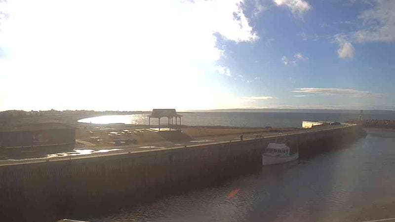 Belliveau Cove Harbour