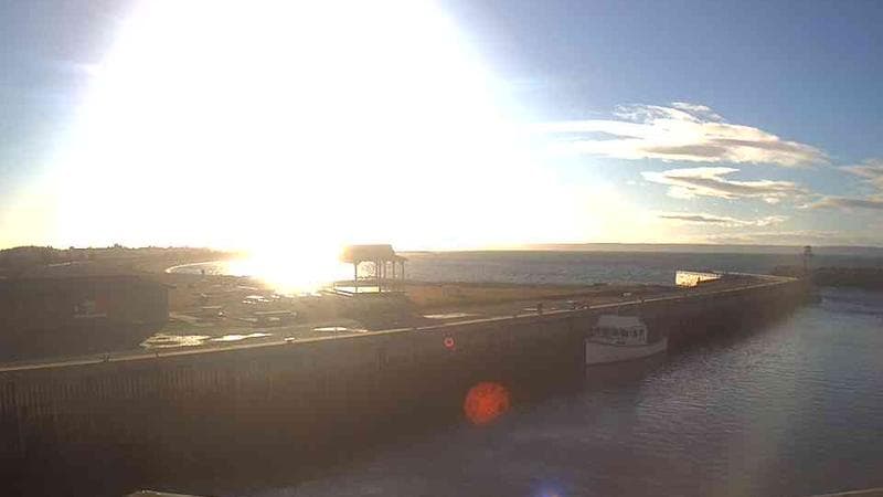 Belliveau Cove Harbour