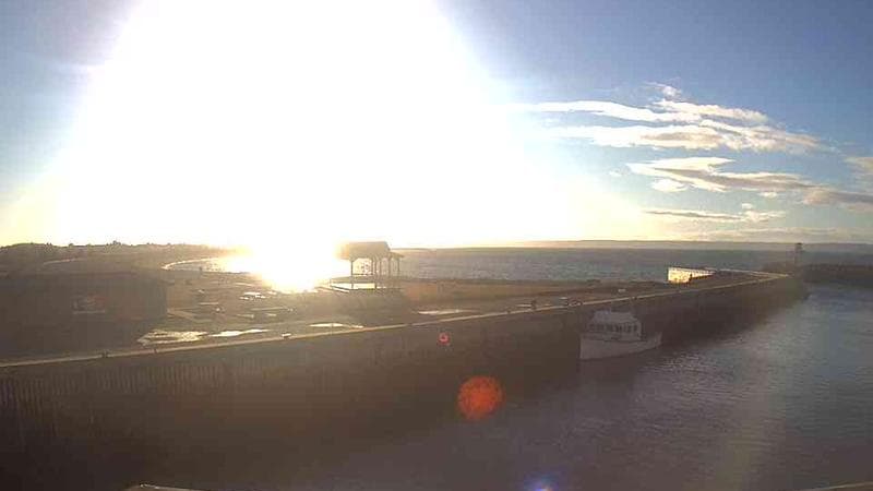 Belliveau Cove Harbour