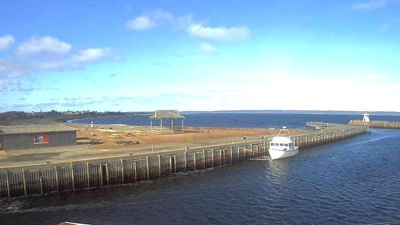 Belliveau Cove Harbour
