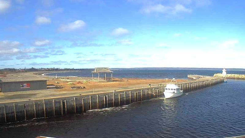 Belliveau Cove Harbour