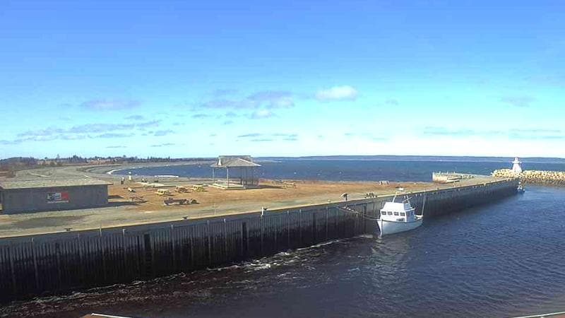 Belliveau Cove Harbour