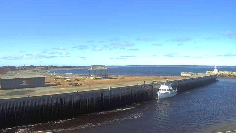 Belliveau Cove Harbour