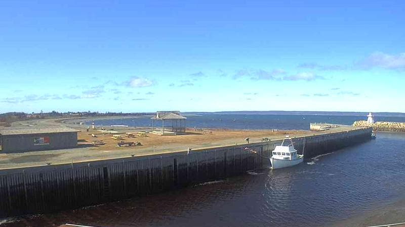 Belliveau Cove Harbour