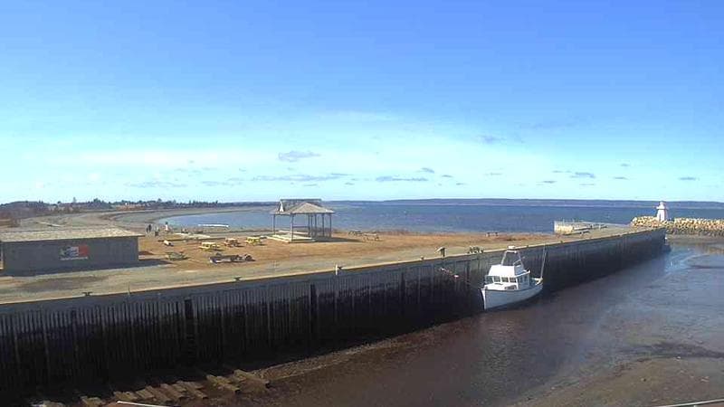 Belliveau Cove Harbour