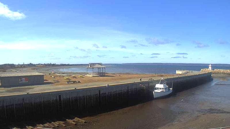 Belliveau Cove Harbour
