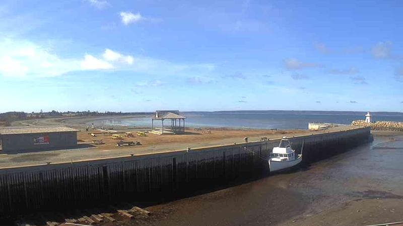 Belliveau Cove Harbour
