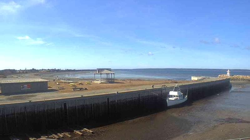 Belliveau Cove Harbour