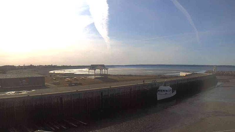 Belliveau Cove Harbour