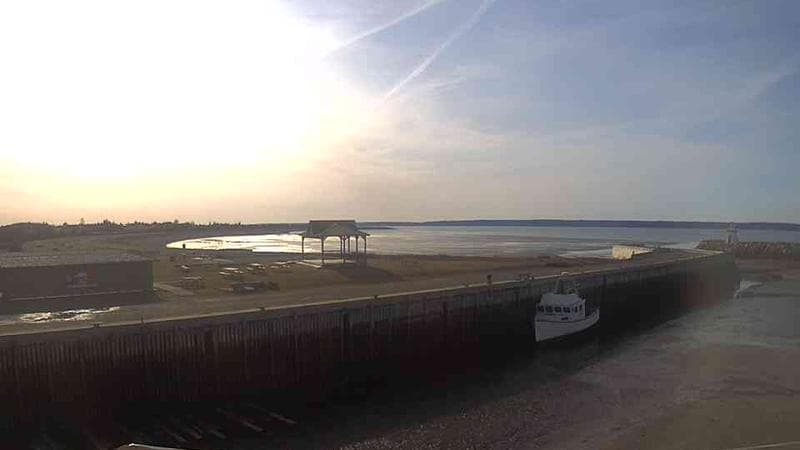 Belliveau Cove Harbour