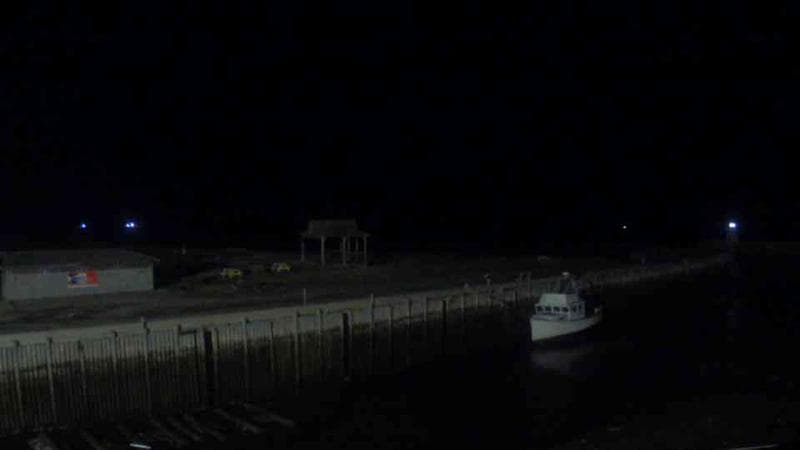 Belliveau Cove Harbour