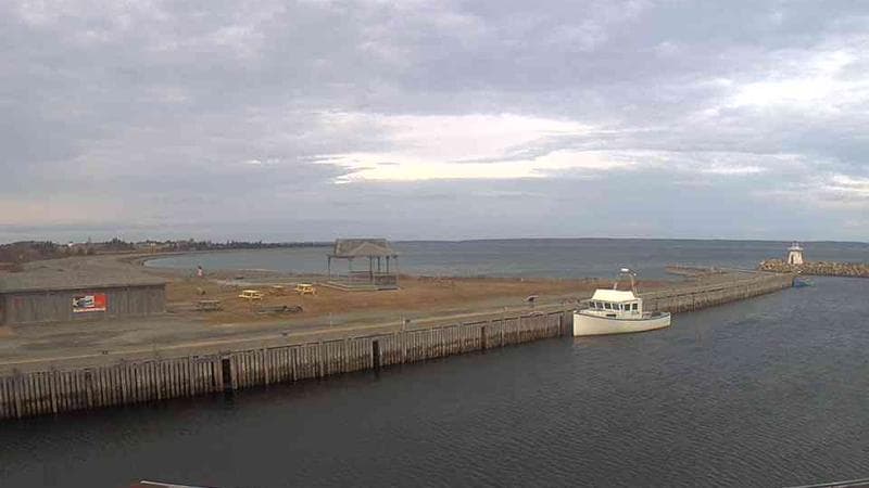 Belliveau Cove Harbour