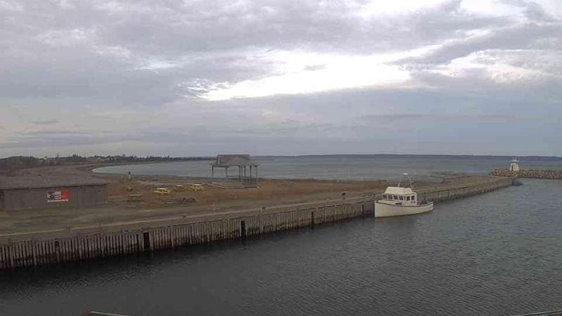 Belliveau Cove Harbour