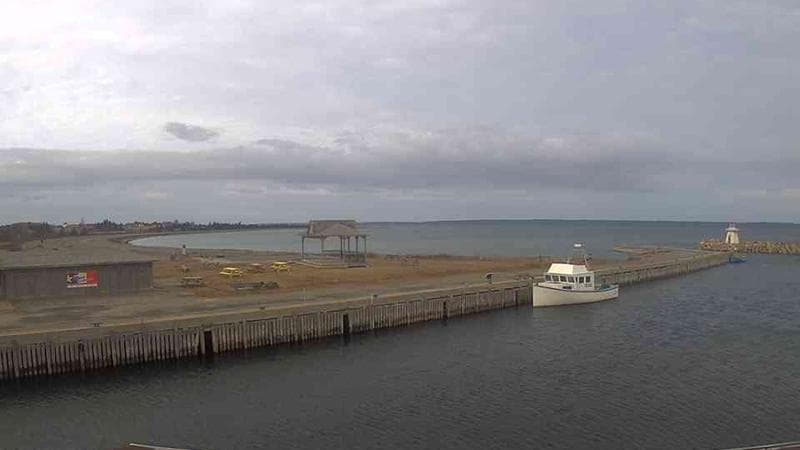 Belliveau Cove Harbour