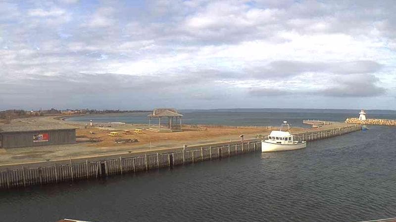 Belliveau Cove Harbour